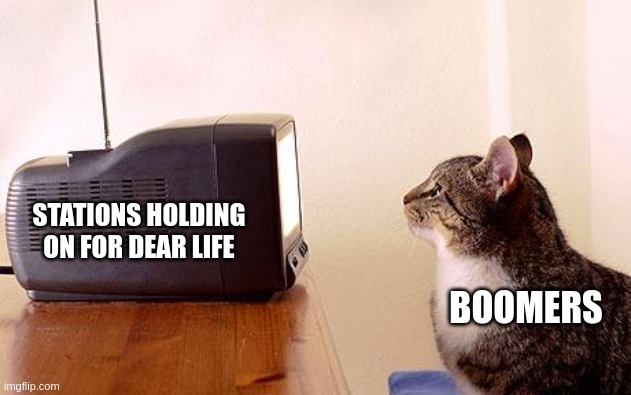 MSM | STATIONS HOLDING ON FOR DEAR LIFE; BOOMERS | image tagged in cat watching tv,tv,television,boomers,gen x,old | made w/ Imgflip meme maker