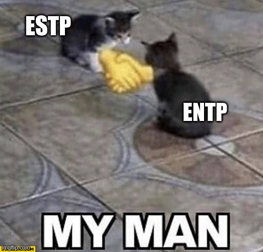 Allies in charming a room | ESTP; ENTP | image tagged in cats shaking hands,entp,estp,mbti,myers briggs,personality | made w/ Imgflip meme maker