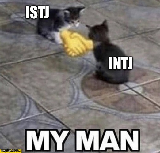 When logic finds an emotional connection | ISTJ; INTJ | image tagged in cats shaking hands,istj,intj,mbti,myers briggs,personality | made w/ Imgflip meme maker