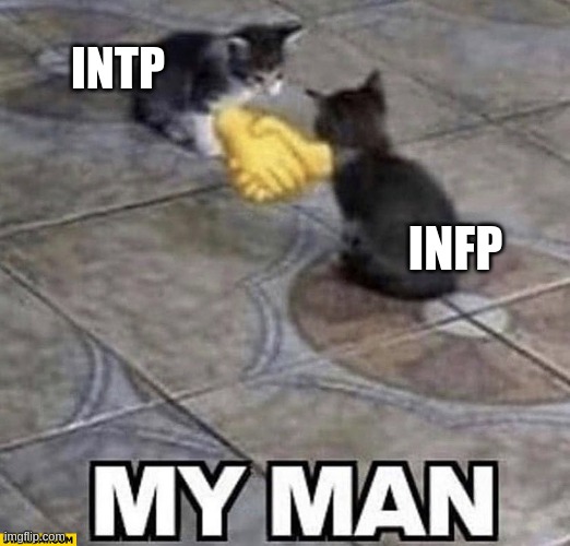 Allies in seeing the world actually how it is | INTP; INFP | image tagged in cats shaking hands,intp,infp,mbti,myers briggs,personality | made w/ Imgflip meme maker