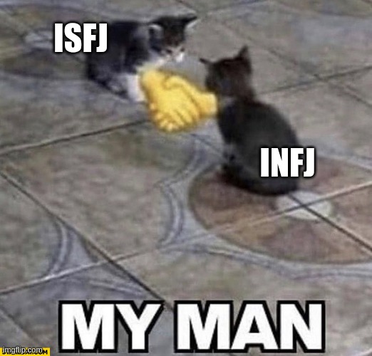 Allies in understanding your logical fallacies | ISFJ; INFJ | image tagged in cats shaking hands,isfj,infj,mbti,myers briggs,personality | made w/ Imgflip meme maker