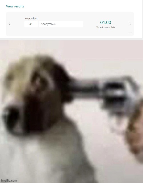 https://forms.office.com/r/96kwCm3JUC | image tagged in dog gunpoint | made w/ Imgflip meme maker