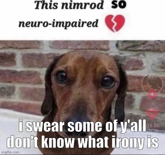 this nimrod so neuro-impaired | i swear some of y'all don't know what irony is | image tagged in this nimrod so neuro-impaired | made w/ Imgflip meme maker