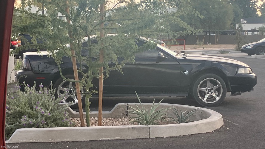 Early 2000’s Ford Mustang I found in a Autozone parking lot | made w/ Imgflip meme maker