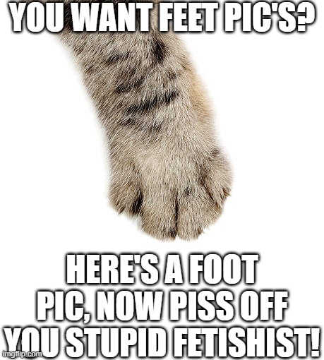 You want feet pic's? | YOU WANT FEET PIC'S? HERE'S A FOOT PIC, NOW PISS OFF YOU STUPID FETISHIST! | image tagged in satire,foot fetish | made w/ Imgflip meme maker