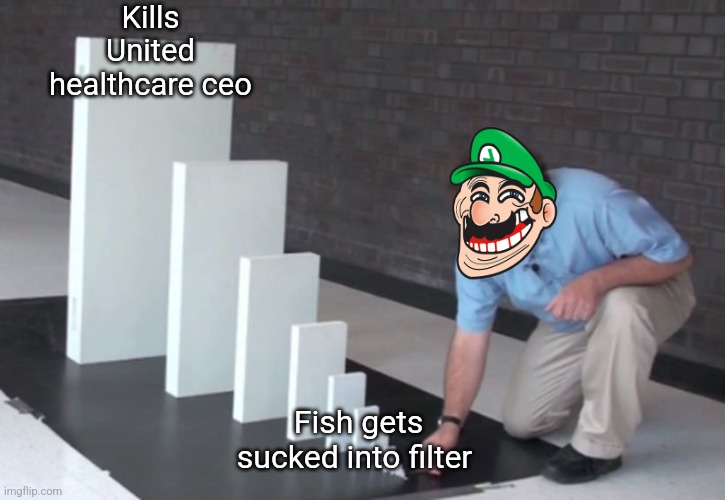 Pokemon gotta catch em all | Kills United healthcare ceo; Fish gets sucked into filter | image tagged in domino effect | made w/ Imgflip meme maker