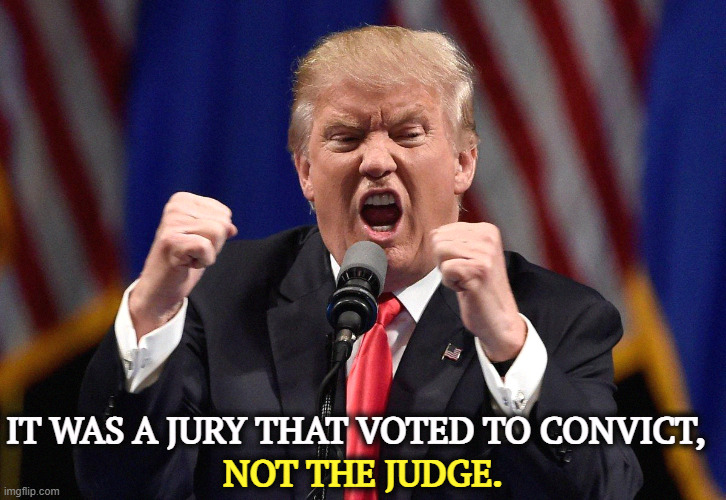 A jury of his peers. | IT WAS A JURY THAT VOTED TO CONVICT, NOT THE JUDGE. | image tagged in trump screaming,trump,guilty,jury,judge | made w/ Imgflip meme maker