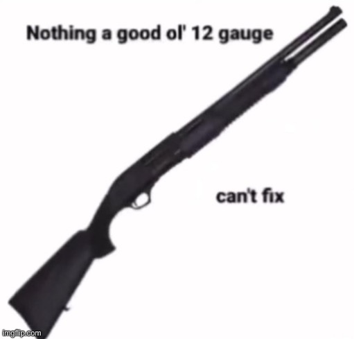 nothing a good ol 12 gauge cant fix | image tagged in nothing a good ol 12 gauge cant fix | made w/ Imgflip meme maker