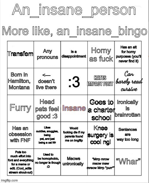 New update to my mental illness bingo | image tagged in an_insane_bingo december 2024 | made w/ Imgflip meme maker