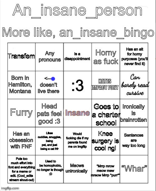 Worst bingo ever dawg | image tagged in an_insane_bingo december 2024 | made w/ Imgflip meme maker