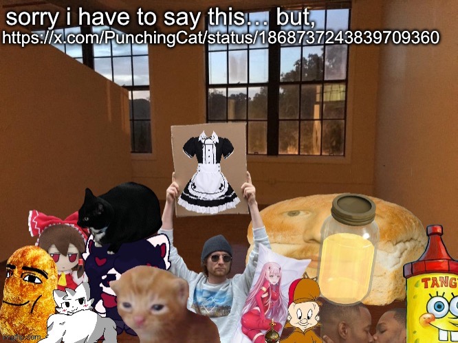 LEMME SEE YOUR WAR FACE | https://x.com/PunchingCat/status/1868737243839709360 | image tagged in breadm announcement temp v4 | made w/ Imgflip meme maker