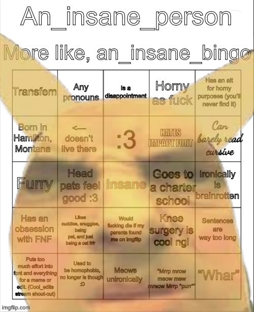 An_insane_bingo (December 2024) | image tagged in an_insane_bingo december 2024 | made w/ Imgflip meme maker