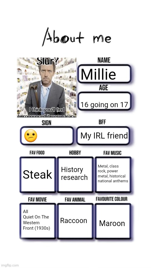 About me | Millie; 16 going on 17; 😕; My IRL friend; History research; Steak; Metal, class rock, power metal, historical national anthems; All Quiet On The Western Front (1930s); Raccoon; Maroon | image tagged in about me | made w/ Imgflip meme maker