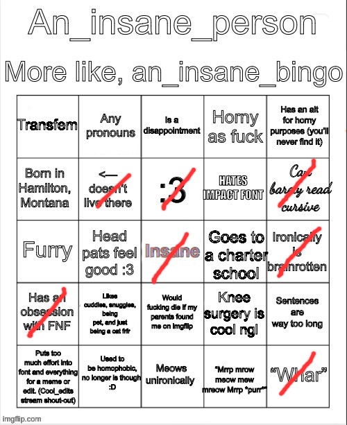 image tagged in an_insane_bingo december 2024 | made w/ Imgflip meme maker