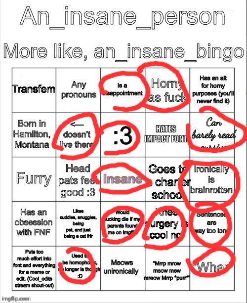 image tagged in an_insane_bingo december 2024 | made w/ Imgflip meme maker