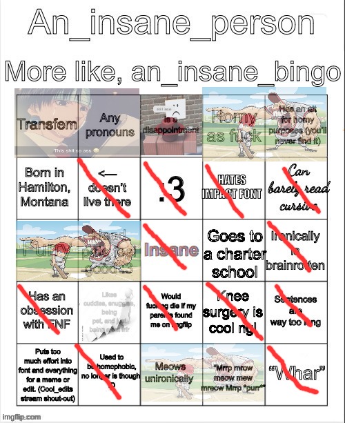 image tagged in an_insane_bingo december 2024 | made w/ Imgflip meme maker