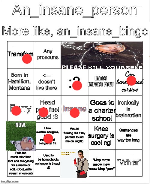 image tagged in an_insane_bingo december 2024 | made w/ Imgflip meme maker