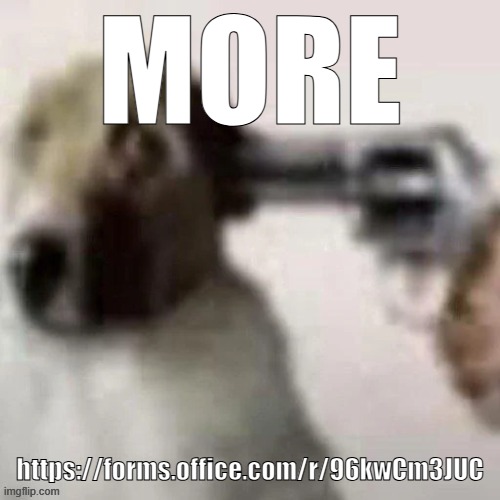 https://forms.office.com/r/96kwCm3JUC | MORE; https://forms.office.com/r/96kwCm3JUC | image tagged in dog gunpoint | made w/ Imgflip meme maker