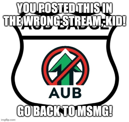 Anti-Upvote Begging Badge | YOU POSTED THIS IN THE WRONG STREAM, KID! GO BACK TO MSMG! | image tagged in anti-upvote begging badge | made w/ Imgflip meme maker