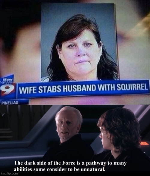 image tagged in the dark side of the force is a pathway to many abilities,wife,husband,stab,squirrel | made w/ Imgflip meme maker