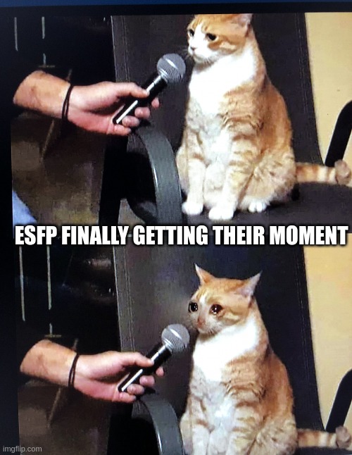 ESFP realising they have finally made it | ESFP FINALLY GETTING THEIR MOMENT | image tagged in cat interview crying,esfp,personality,psychology,mbti,myers briggs | made w/ Imgflip meme maker