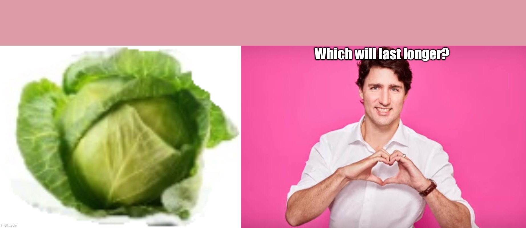 Which will last longer? | image tagged in lettuce,justin trudeau heart | made w/ Imgflip meme maker