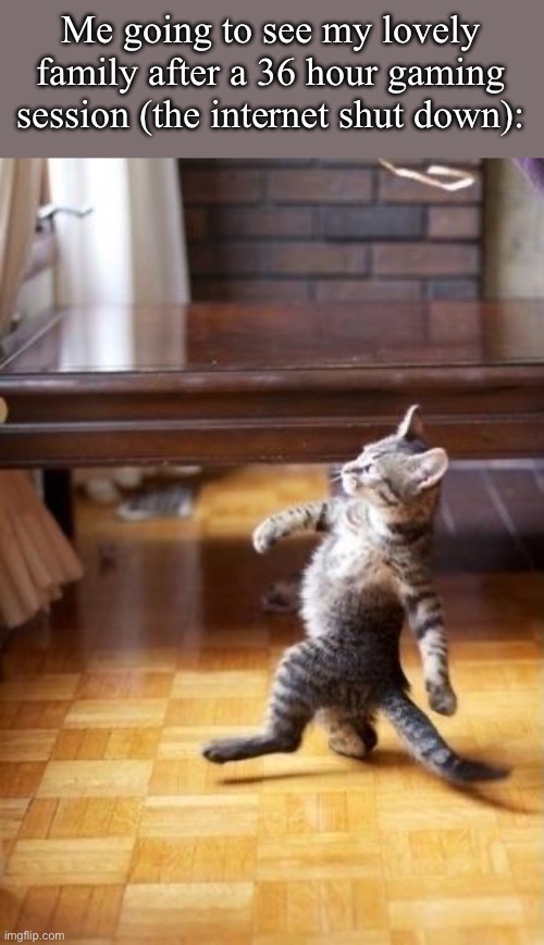 Internet | Me going to see my lovely family after a 36 hour gaming session (the internet shut down): | image tagged in memes,cool cat stroll,funny | made w/ Imgflip meme maker