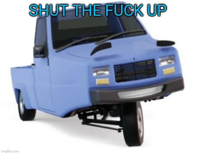 ibishu pigeon | SHUT THE FUCK UP | image tagged in zesty ass pigeon | made w/ Imgflip meme maker