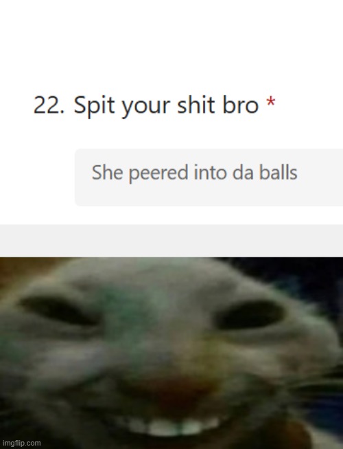 i'm so tired... | image tagged in creepy cat | made w/ Imgflip meme maker