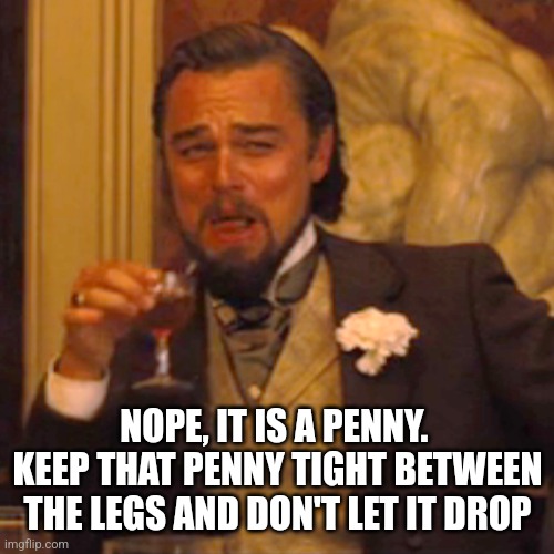 Laughing Leo Meme | NOPE, IT IS A PENNY.  KEEP THAT PENNY TIGHT BETWEEN THE LEGS AND DON'T LET IT DROP | image tagged in memes,laughing leo | made w/ Imgflip meme maker