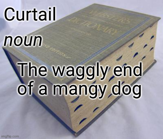 puns are like involuntary flatulence: whether they garner applause or clear the room they're always good for a chuckle | Curtail
 
 
   The waggly end
   of a mangy dog; noun | image tagged in dictionary | made w/ Imgflip meme maker