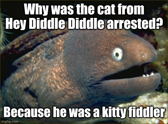 of course a nursery rhyme with diddle in the title would be about molestation | Why was the cat from Hey Diddle Diddle arrested? Because he was a kitty fiddler | image tagged in memes,bad joke eel | made w/ Imgflip meme maker