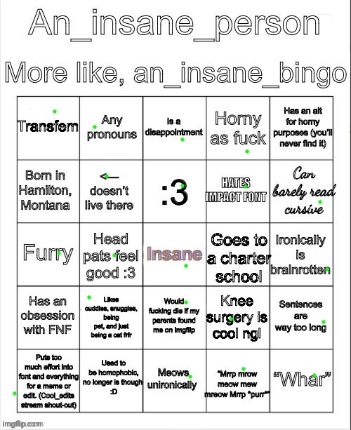 An_insane_bingo (December 2024) | image tagged in an_insane_bingo december 2024 | made w/ Imgflip meme maker