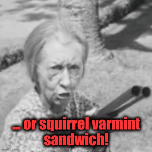 Granny Beverly Hillbillies | ... or squirrel varmint
sandwich! | image tagged in granny beverly hillbillies | made w/ Imgflip meme maker