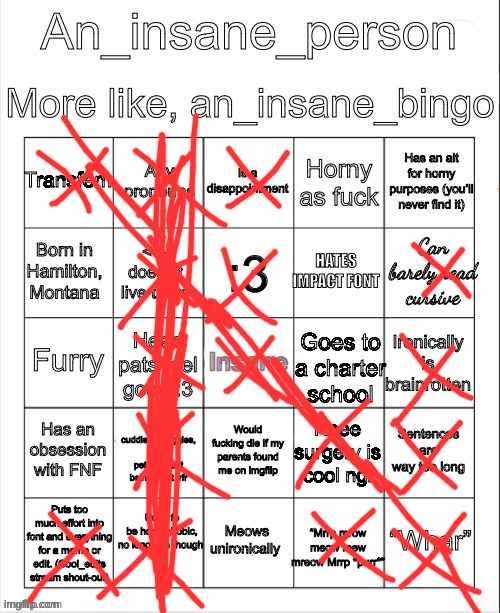 image tagged in an_insane_bingo december 2024 | made w/ Imgflip meme maker