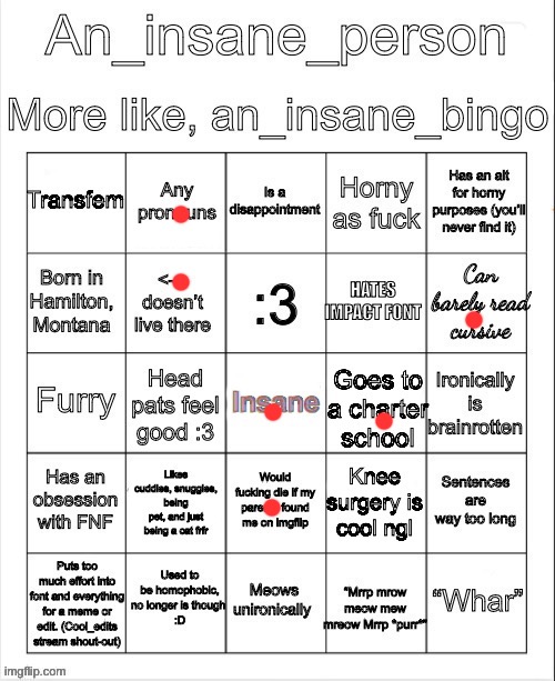 An_insane_bingo (December 2024) | image tagged in an_insane_bingo december 2024 | made w/ Imgflip meme maker