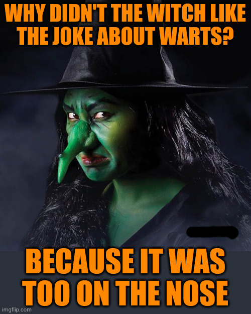 Witches won't bat an eye for the obvious, but they'll melt for subtle humor | WHY DIDN'T THE WITCH LIKE
THE JOKE ABOUT WARTS? BECAUSE IT WAS
TOO ON THE NOSE | image tagged in puns | made w/ Imgflip meme maker