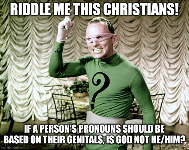 god isn't a dude? | RIDDLE ME THIS CHRISTIANS! IF A PERSON'S PRONOUNS SHOULD BE BASED ON THEIR GENITALS, IS GOD NOT HE/HIM? | image tagged in riddle me this,christian,lgbtq,pronouns | made w/ Imgflip meme maker