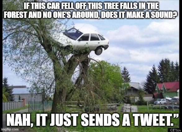 Secure Parking | IF THIS CAR FELL OFF THIS TREE FALLS IN THE FOREST AND NO ONE’S AROUND, DOES IT MAKE A SOUND? NAH, IT JUST SENDS A TWEET.” | image tagged in memes,secure parking | made w/ Imgflip meme maker