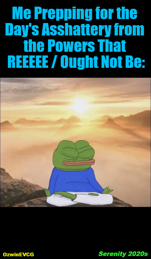 Serenity 2020s | Me Prepping for the 

Day's Asshattery from 

the Powers That 

REEEEE / Ought Not Be:; OzwinEVCG; Serenity 2020s | image tagged in pepe visualizes and meditates,clown world,life in 2020s,reeeee,the struggle,political humor | made w/ Imgflip meme maker