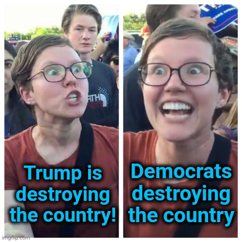 Don't believe the libs' accusations | Trump is
destroying
the country! Democrats
destroying
the country | image tagged in social justice warrior hypocrisy,memes,trump derangement syndrome,democrats,destruction of america,lies | made w/ Imgflip meme maker