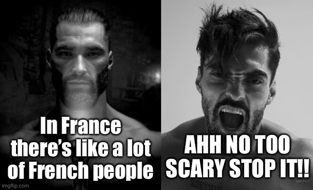 In France there’s like a lot of French people; AHH NO TOO SCARY STOP IT!! | made w/ Imgflip meme maker