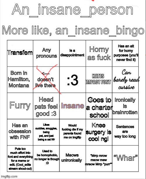 An_insane_bingo (December 2024) | image tagged in an_insane_bingo december 2024 | made w/ Imgflip meme maker