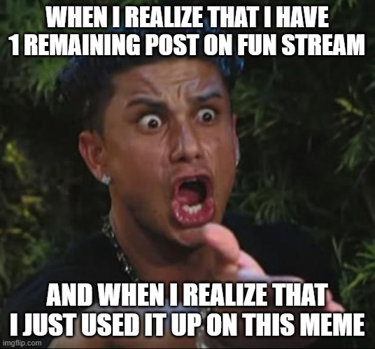 damn | WHEN I REALIZE THAT I HAVE 1 REMAINING POST ON FUN STREAM; AND WHEN I REALIZE THAT I JUST USED IT UP ON THIS MEME | image tagged in memes,dj pauly d | made w/ Imgflip meme maker