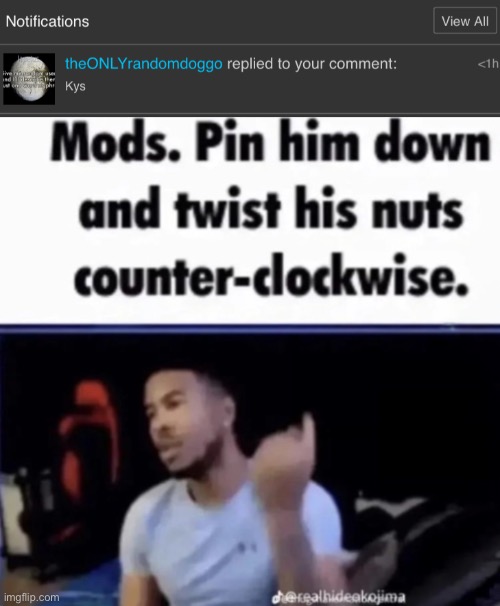 BAN THIS MF IMMEDIATELY | image tagged in mods pin him down and twist his nuts counter-clockwise | made w/ Imgflip meme maker