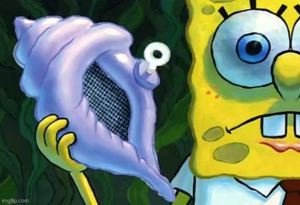 Magic conch shell | image tagged in magic conch shell | made w/ Imgflip meme maker