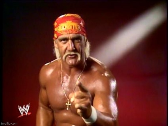 hulk hogan | image tagged in hulk hogan | made w/ Imgflip meme maker