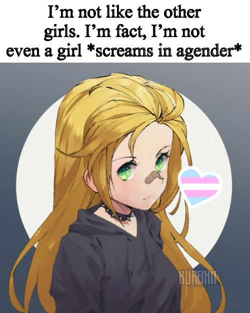 Holly but I feel a little trans today | I’m not like the other girls. I’m fact, I’m not even a girl *screams in agender* | image tagged in holly but i feel a little trans today | made w/ Imgflip meme maker