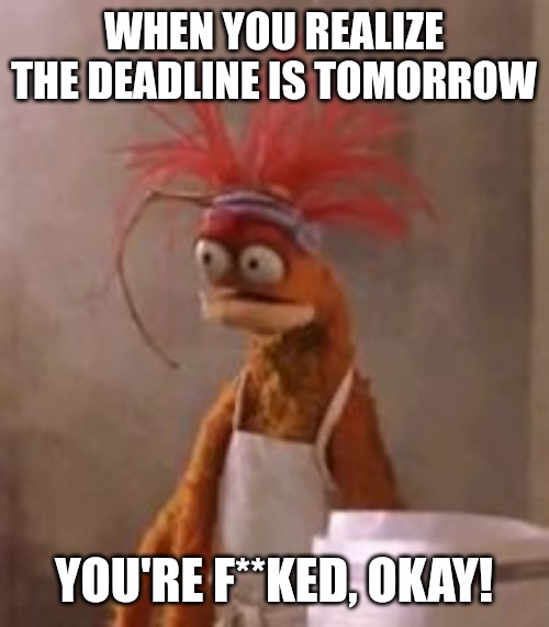 Oh well | WHEN YOU REALIZE THE DEADLINE IS TOMORROW; YOU'RE F**KED, OKAY! | image tagged in pepe the king prawn,funny,funny memes,fun | made w/ Imgflip meme maker