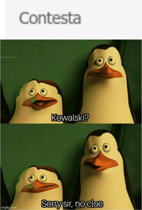image tagged in sorry sir no clue | made w/ Imgflip meme maker